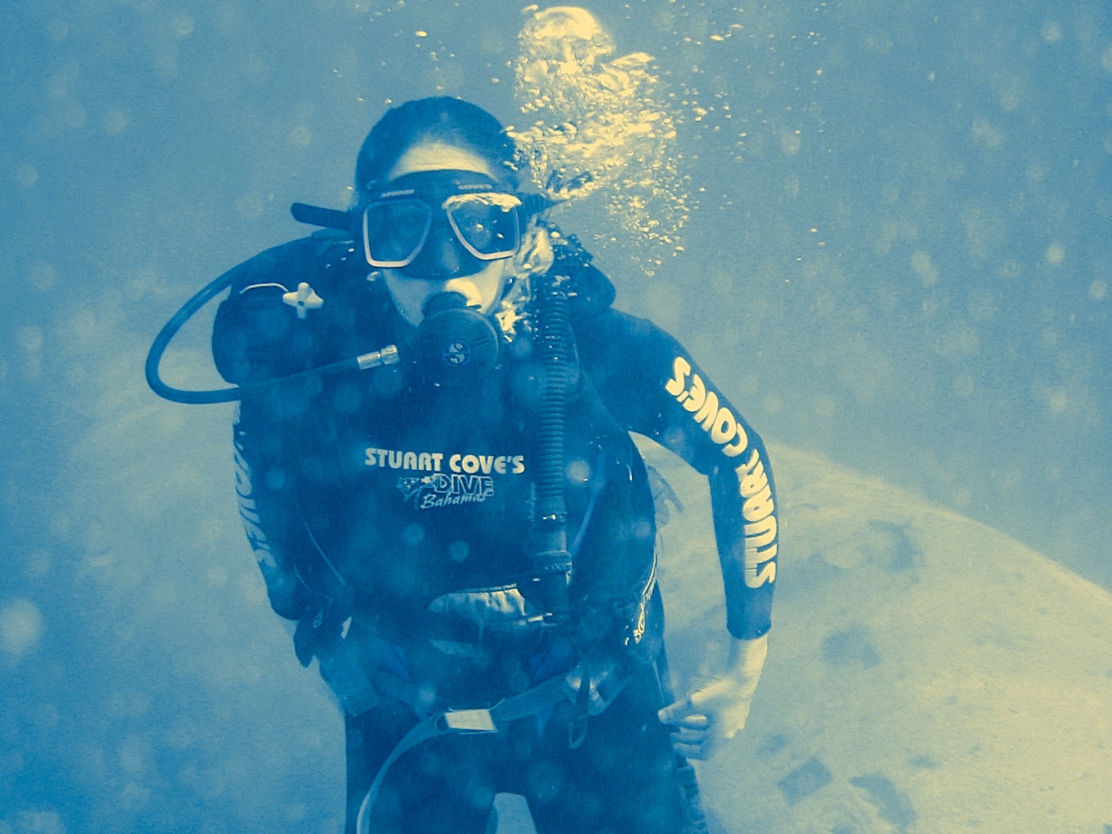Stega breathing underwater